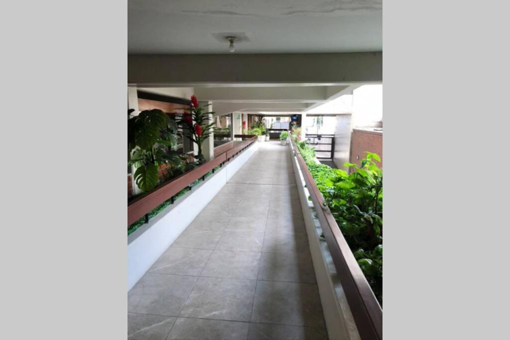 לימה 4B Mini-Departamento Nuevo En Centro De Miraflores מראה חיצוני תמונה